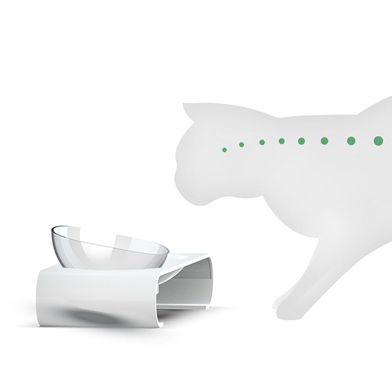 Gamelle Ergonomique Inclinée pour Chat