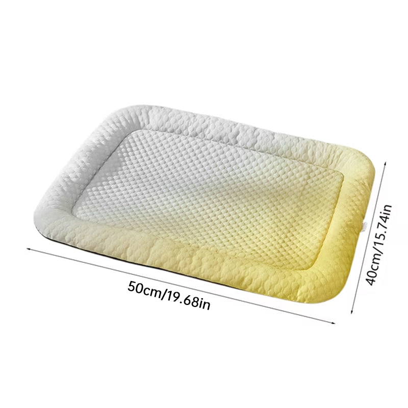 Tapis Rafraîchissant pour Animaux