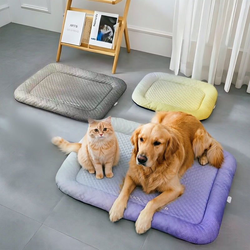 Tapis Rafraîchissant pour Animaux