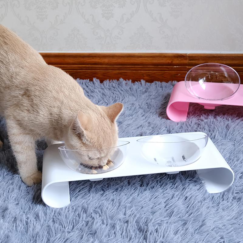 Gamelle Ergonomique Inclinée pour Chat
