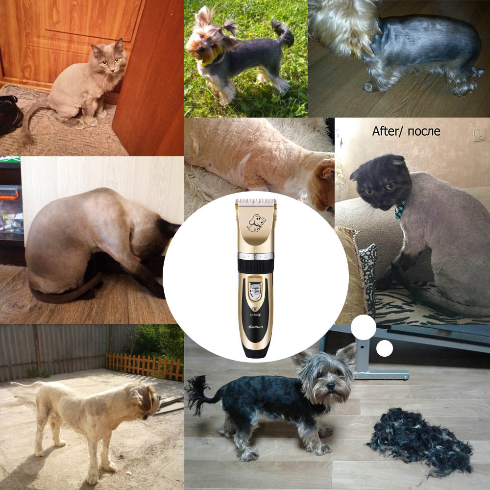 Tondeuse Professionnelle pour Chien et Chat