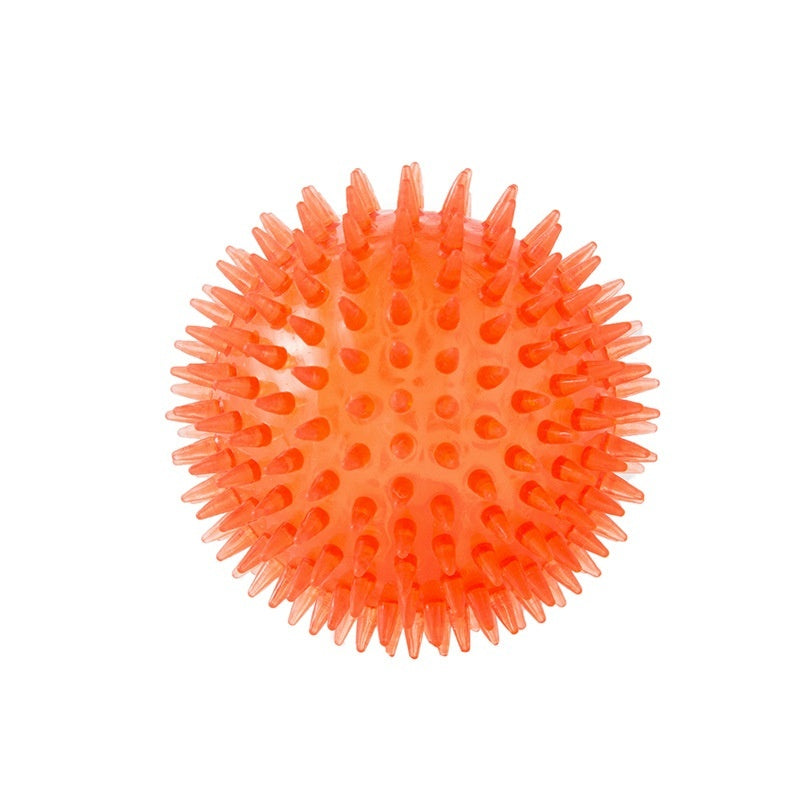5e768a0a5e67f0fb415f7e0de81621dc